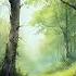 Fantasy OST Quiet Glade TTRPG Focus Study BGM Friends Fables