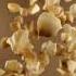 Ferrero Rocher The Golden Experience 15s 16 9