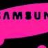 Samsung Logo Balls In G Major 4 Pika Major Powers 1 10