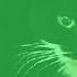 6 Maxwell The Cat Sound Variations In 40 Seconds