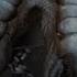 Godzilla 1998 New York Landfall 4K Open Matte