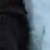 IglU