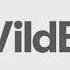 WildBrain Nickelodeon Productions 2020