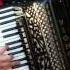 DOMINO Valse Musette L Ferrari Elaborazione By G Ruffolo E C Morisi Accordion Accordeon Acordeon