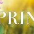 SPRING VIDEO Free Stock Footage Free HD Video No Copyright