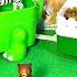 Takara Tomy Baby Wild Animals Лев Тигр Медведь Корова Красная панда Олень Енот Орёл Кро