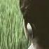 Lucy Corbon Amodio Outro Slowed Looped