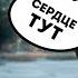 ОБО ВСЁМ И СРАЗУ ГАЙД для новичков 2024 The Hunter Call Of The Wild