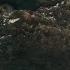 Godzilla Minus One Godzilla S Healing Factor