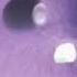 RQ All Preview 2 Sunny Bunnies Deepfakes V468 In G Major 7