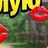 В стиле Кривоногая любовь В этот раз Куда хочу туда целую Песни с юмором Almazov Band