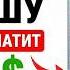ЛЕГКАЯ И ДОРОГАЯ НИША ДЛЯ СТАРТА НА АМЕРИКАНСКОМ ЮТУБЕ