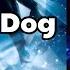 WTF I Don T Even Know What I M Looking At Dog Transformation The Thing 1982
