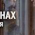 Эхо далёких огней Echogenx Тени на стенах Стилизация в духе группы КИНО Tribute 2026
