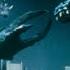Orga Sound Effects 1999