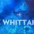 What If The 13th Doctor Bigenerated Title Sequence Concept DOCTOR WHO