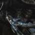 Orga U S Sound Effects