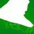 Wavey Very Turbo Best Animation Logos