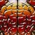 Brainscan Feat Zinx
