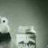 Wilkins And Wontkins Mack And Kermit And Kern S But Voiced By Spongebob Patrick And Squidward