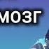 Ты и твой мозг Защитные механизмы психики Режим самообмана