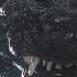 Heisei Godzilla 1984 4K Scene Pack Part 1