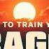 How To Train Your Dragon We Go With The Sky Epic Orchestral Cover
