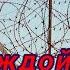 С надеждой о доме Блатняк