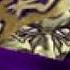 Warcraft 3 Послушник Реплики